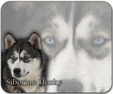 Mousepad Siberian Husky (Sibirischer Husky) #3